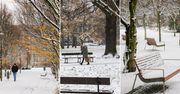 Bydgoszcz: Poranny śnieg stworzył bajkowy krajobraz