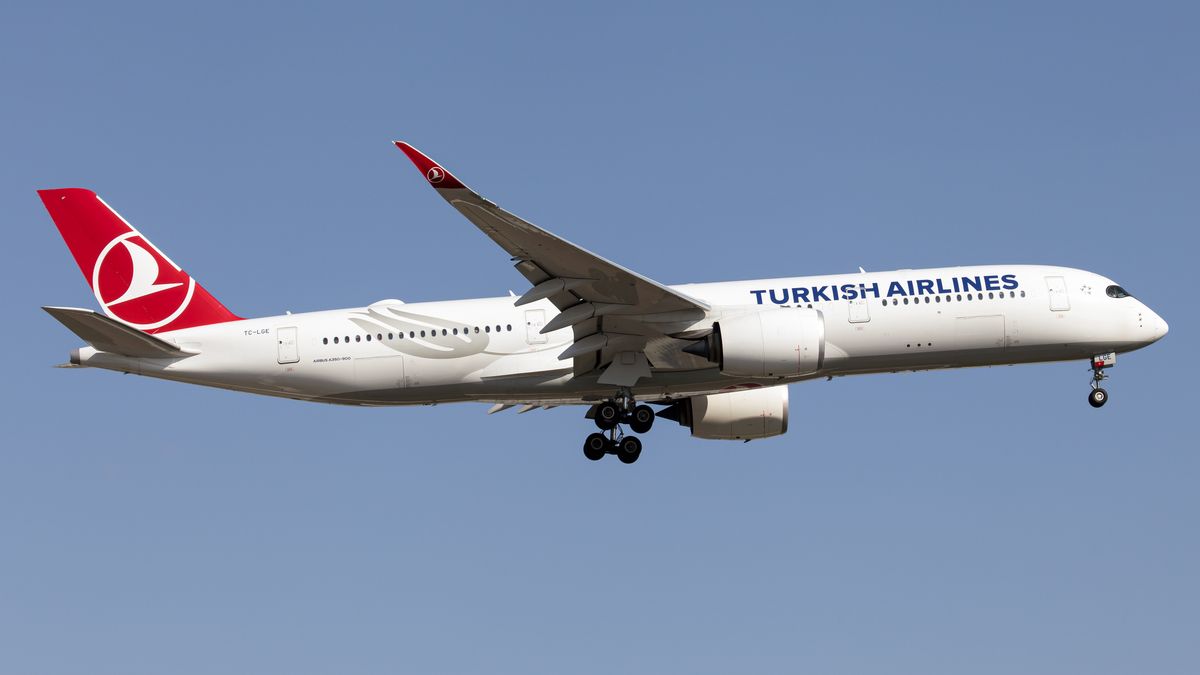 Turkish Airlines to w j. angielskim "tureckie linie lotnicze". Narodowy przewoźnik będzie posługiwał się tą samą nazwą, ale zapisaną w języku tureckim - Turkiye Hava Yollari 
