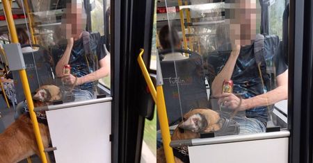 Szokujące sceny w trolejbusie linii 151. Mężczyzna z piwem w ręku znęcał się nad psem