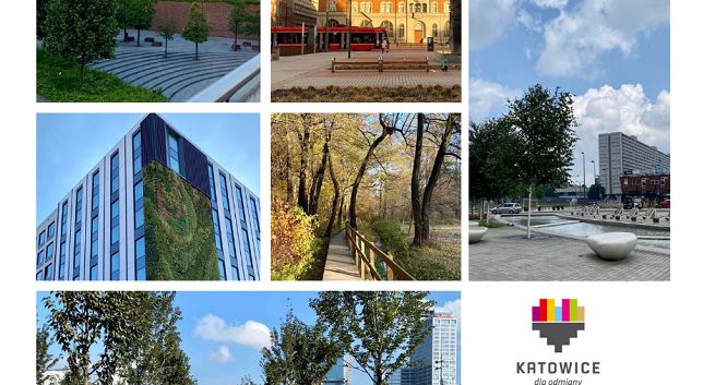 Buszman.Komunikacja dla Urzędu Miasta w Katowicach