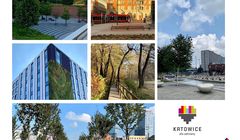 Buszman.Komunikacja dla Urzędu Miasta w Katowicach