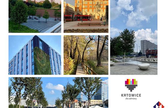 Buszman.Komunikacja dla Urzędu Miasta w Katowicach