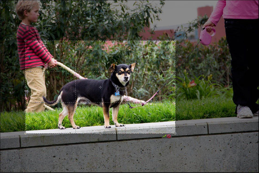 Jubileuszowe Adobe Photoshop i Premiere Elements 10 5