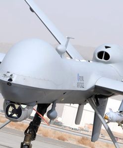 Tajna misja australijskich pilotów w Wielkiej Brytanii. Ministerstwo potwierdza