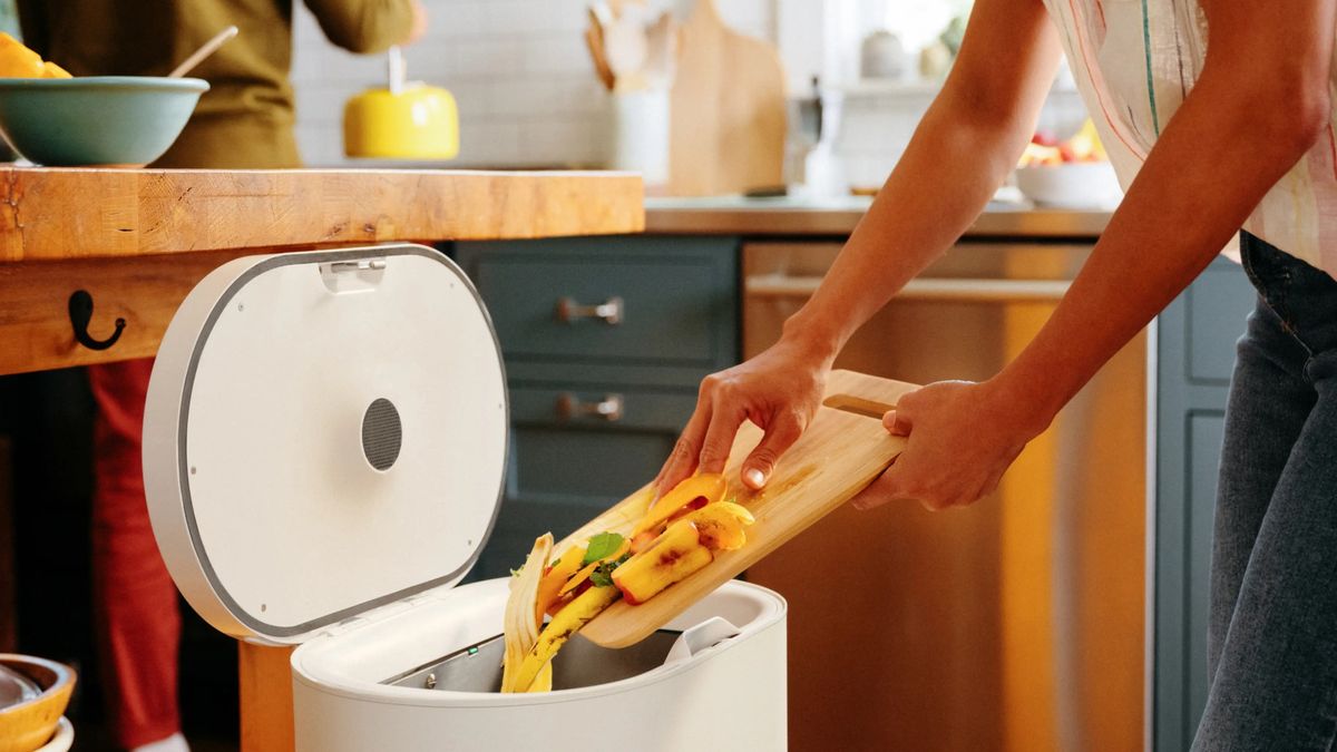 Kosz na śmieci, który zamienia resztki na paszę dla kurcząt