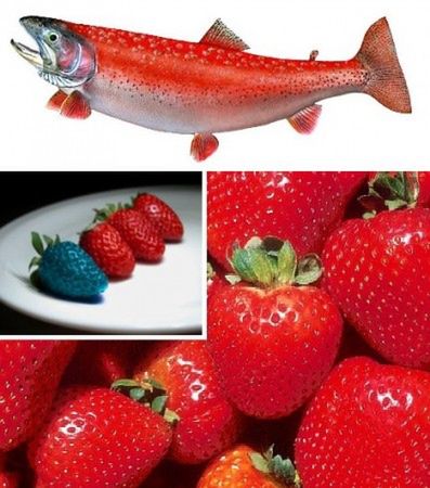 TOP 4: Najciekawsze genetyczne modyfikacje warzyw i owoców 4