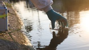 Rekordy groźnych substancji w ściekach. Kraków z niepokojącymi wynikami