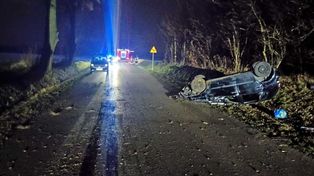 18-latka dachowała volkswagenem. Dziewczyna chciała ominąć leżące na jezdni zwłoki kota