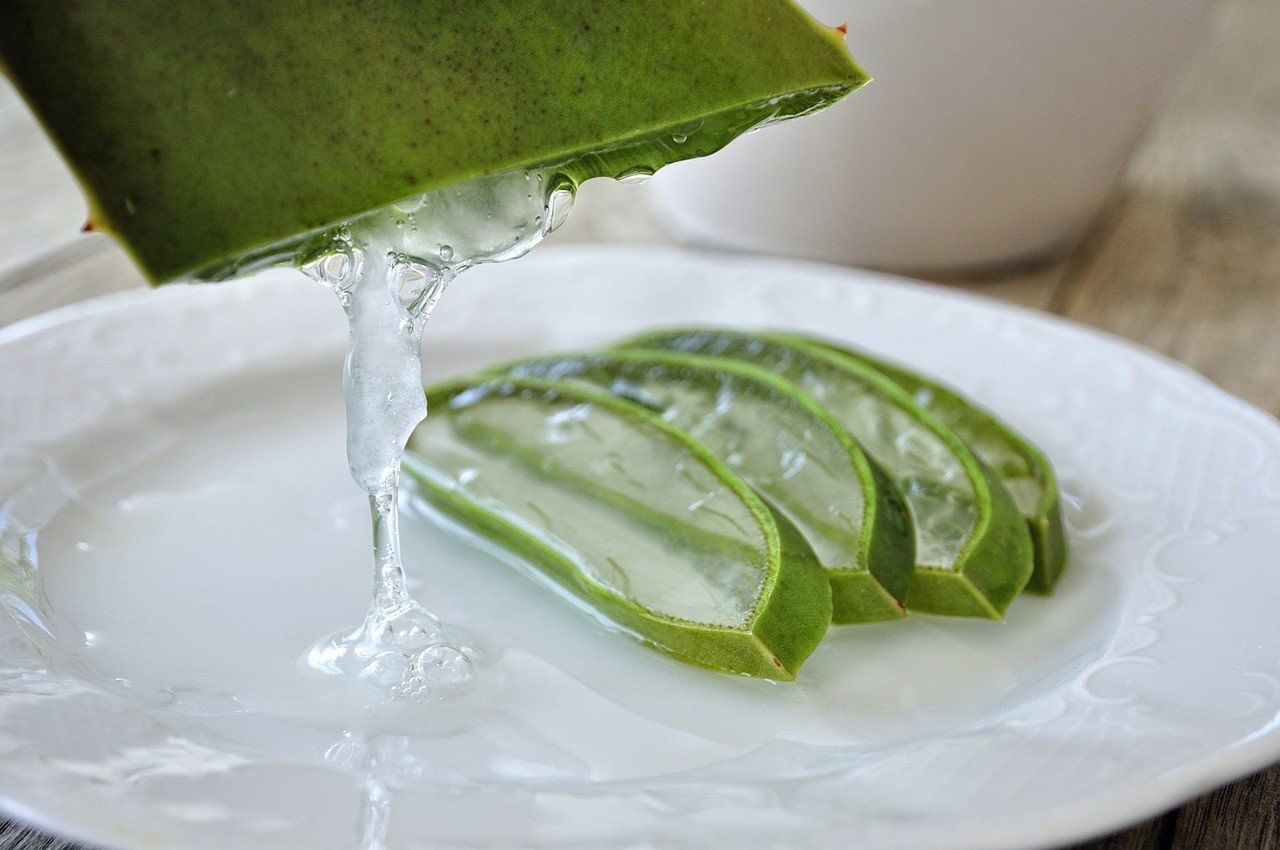 Aloes dla pięknych włosów