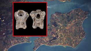 Leżała w muzeum 100 lat. Nie wiedzieli, z czym mają do czynienia