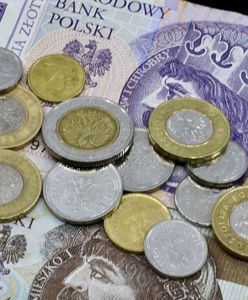 Kasa w kultowym w reality show. Po latach zdradzili ile zarobili