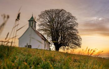 Wyjątkowa podlaska architektura sakralna. Piękne, klimatyczne cerkwie, kościoły i kapliczki w gminie Bielsk Podlaski. Pełna dokumentacja!
