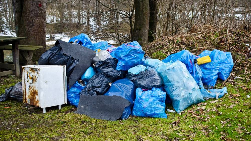 Surowsze kary za zaśmiecanie lasów i inne zmiany