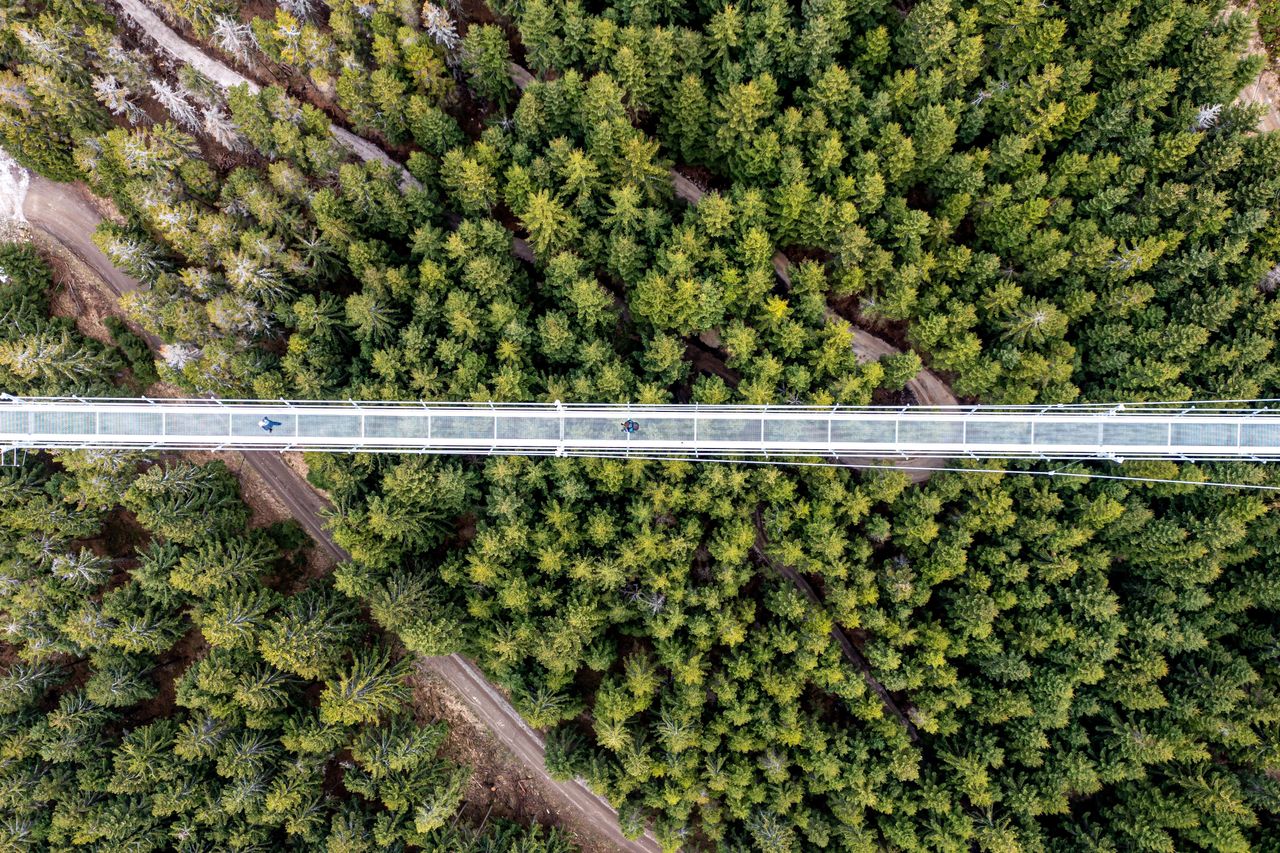 Sky Bridge 721. Najdłuższy most wiszący.  Atrakcja tuż przy granicy z Polską