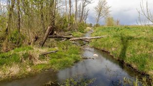 Białystok: Ścieki w rzece Białej? Śmierdzący problem w Zagórkach