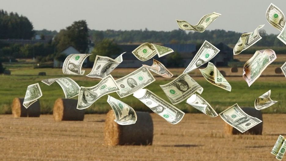 Fikcyjne dochody rolników. Bogaci na papierze
