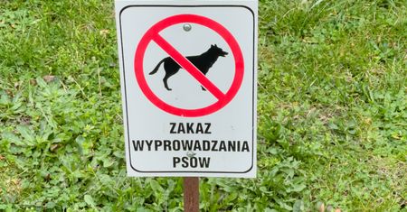 Zakaz wyprowadzania psów. Prawnik podsumował go jednoznacznie