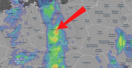 Już 3 czerwca dotrą do Polski z Niemiec. Synoptycy ogłaszają