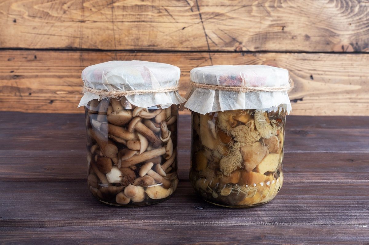 Discover the art of fermenting mushrooms: A healthier alternative