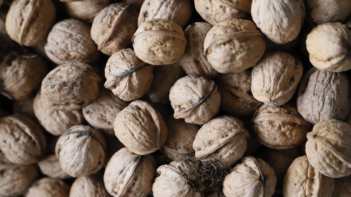 Orzechy włoskie