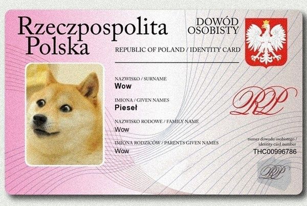 Czytelnicy Gadżetomanii wybierają najlepsze memy 2013 roku 11