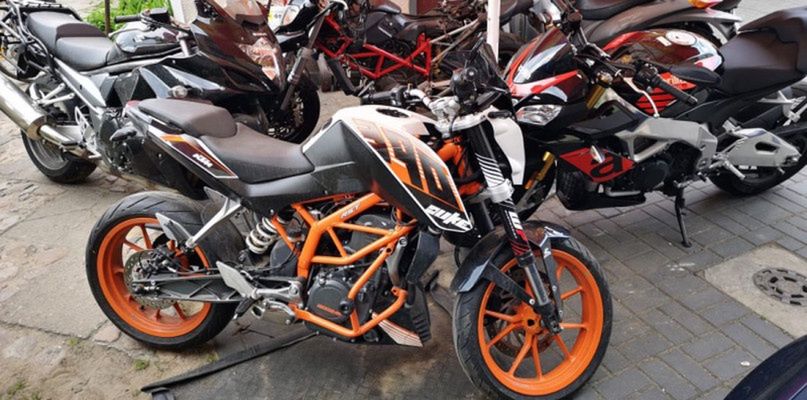 Dziupla w Chodzieży