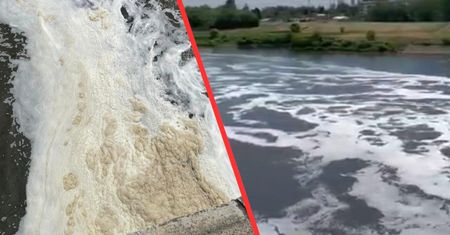 Kolejne skażenie Wisły. Na wodzie pojawiła się gęsta piana