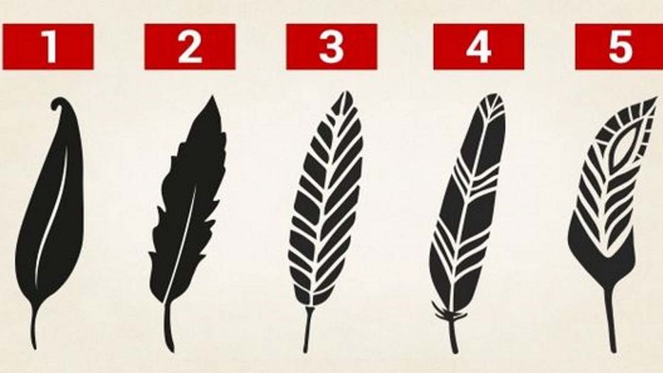 Wskaż piórko, wybór może wiele powiedzieć o twojej osobowości