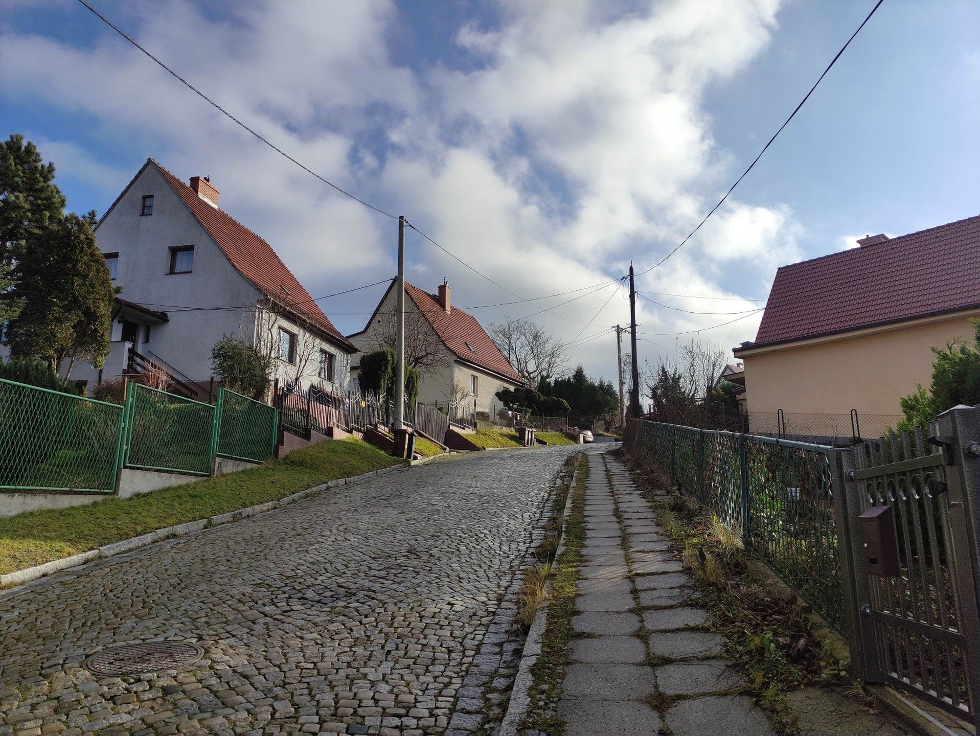 Niedźwiadki w Górach Wałbrzyskich