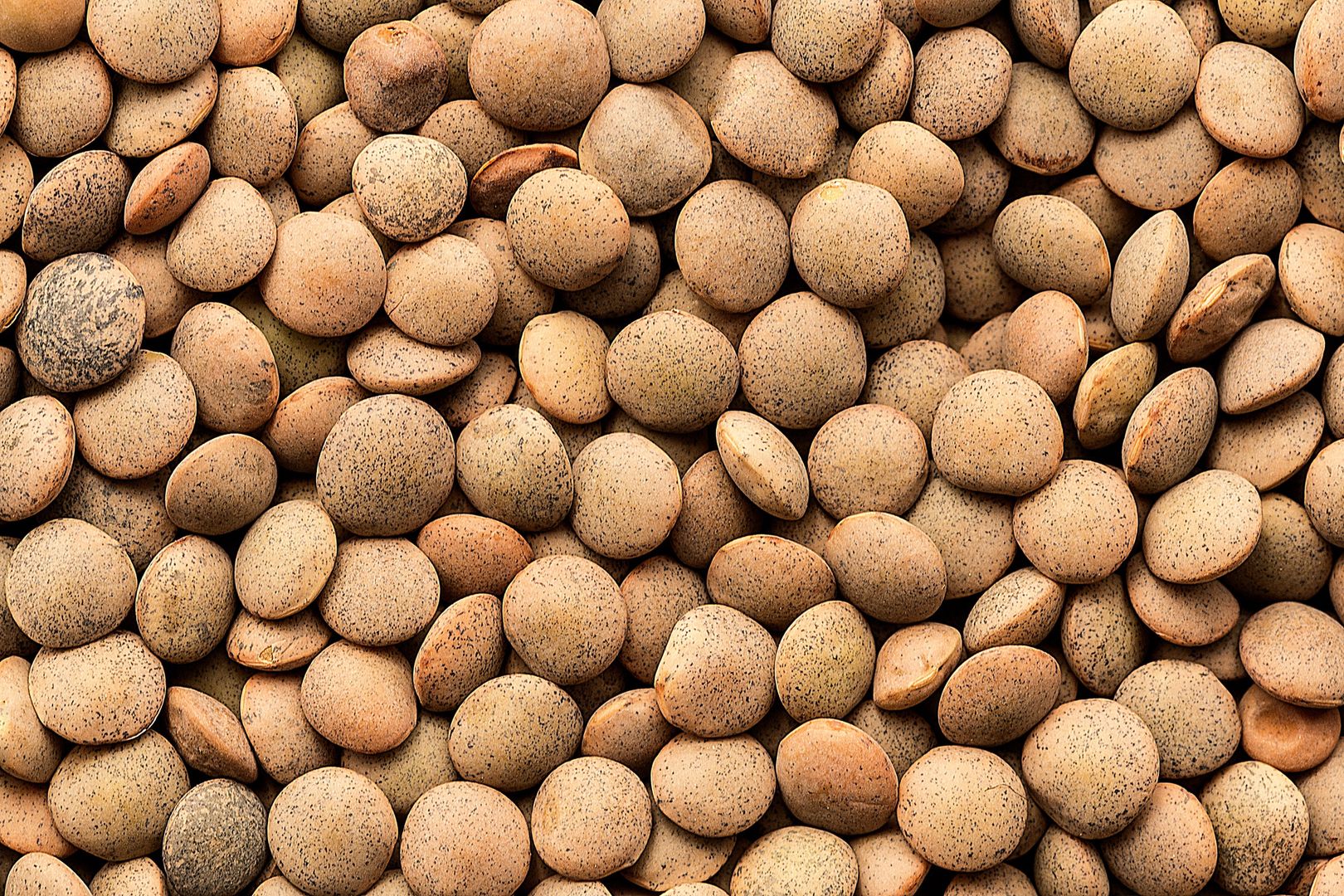 Lentils background
Pattern of uncooked lentils
Victor Cardoner
Green Lentil