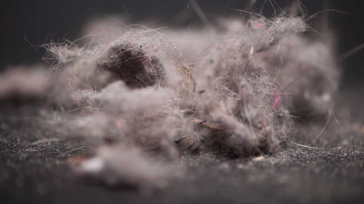 Startuje 6. Opolski Festiwal Fotografii, który zapowiada się przenikająco 1