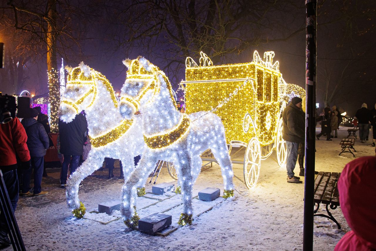 Płockie Ogrody Światła