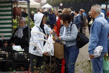 Częstochowa: Festiwal barw i kolorów na Dożynkach Jasnogórskich 2025. Stoiska ogrodnicze pełne inspiracji