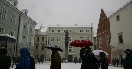 Polakom brakuje kompetencji. Pracodawcy mają problemy