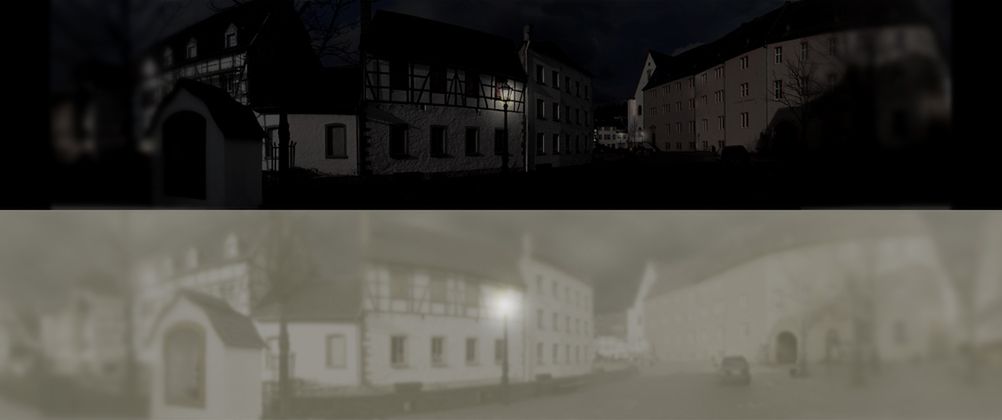 Jak widzą koty? 2