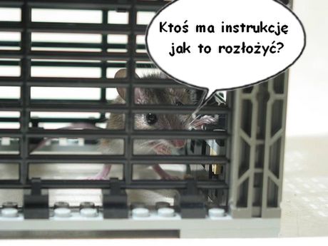 Zrób to sam – pułapka na myszy z LEGO 1
