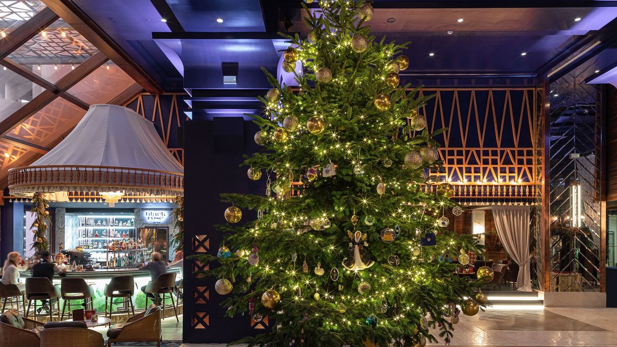 Najdroższa choinka świata jest warta ponad 66 mln złotych. Wygląda niepozornie 1