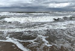 Akcja WWF w Ustce. Ludzie robili zdjęcia tego, co wyrzuciło morze