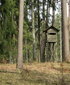 Myśliwy postrzelił 14-latka. Myślał, że to dzik