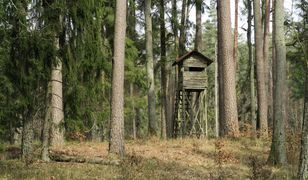Myśliwy postrzelił 14-latka. Myślał, że to dzik