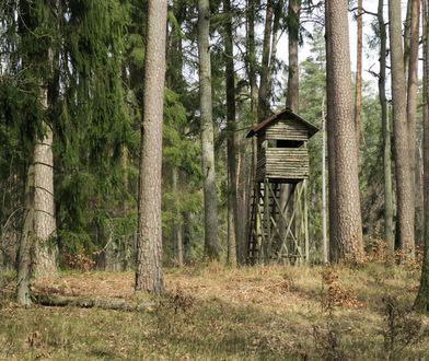 Myśliwy postrzelił 14-latka. Myślał, że to dzik