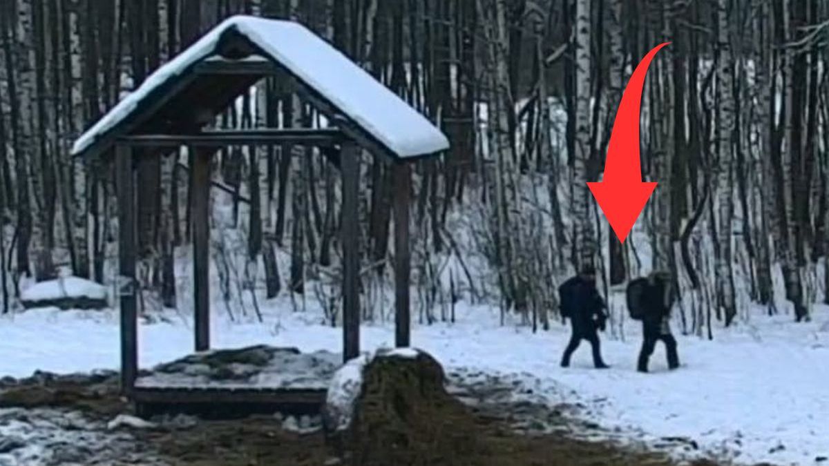 Leśnicy alarmują: zakaz wstępu został zignorowany