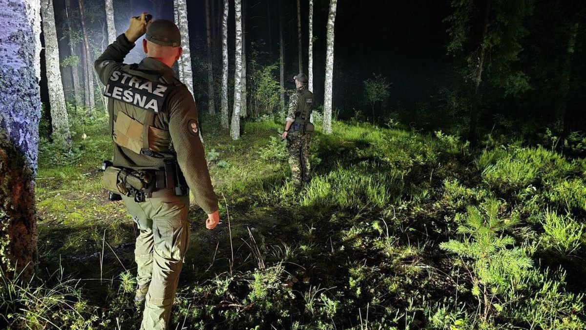 Leśnicy chcą kupować lasy. Zaskakujące ogłoszenie w sieci
