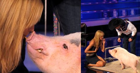 Heidi Klum CAŁUJE... ŚWINIĘ!