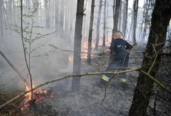 Seryjny podpalacz lasów na Śląsku. Wyznaczono nagrodę