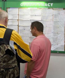 Perełki z "pośredniaków". Dają nawet 10 tys. zł na rękę