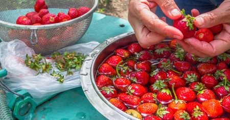 Weź z kuchennej szafki i wsyp do wody. W 5 minut pozbędziesz się robaków z truskawek