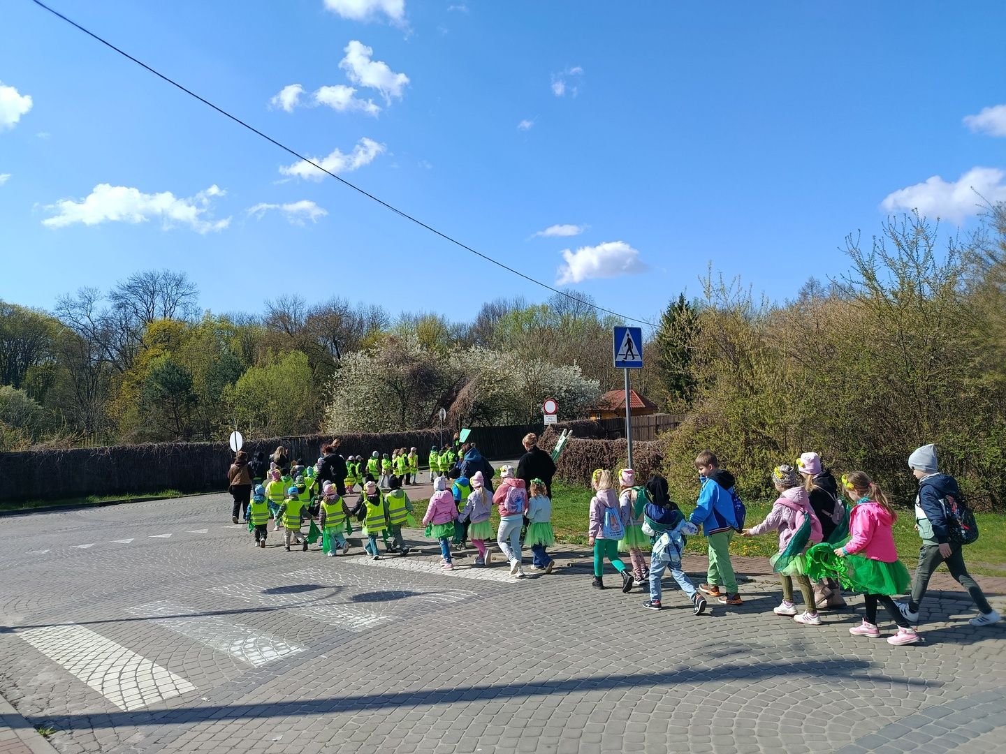 Ostrowiecka Ekobrygada wysiała miejską łąkę