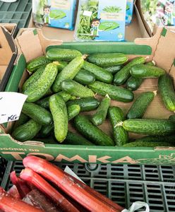 Ceny ogórków idą w górę. Ministerstwo rolnictwa podaje dane