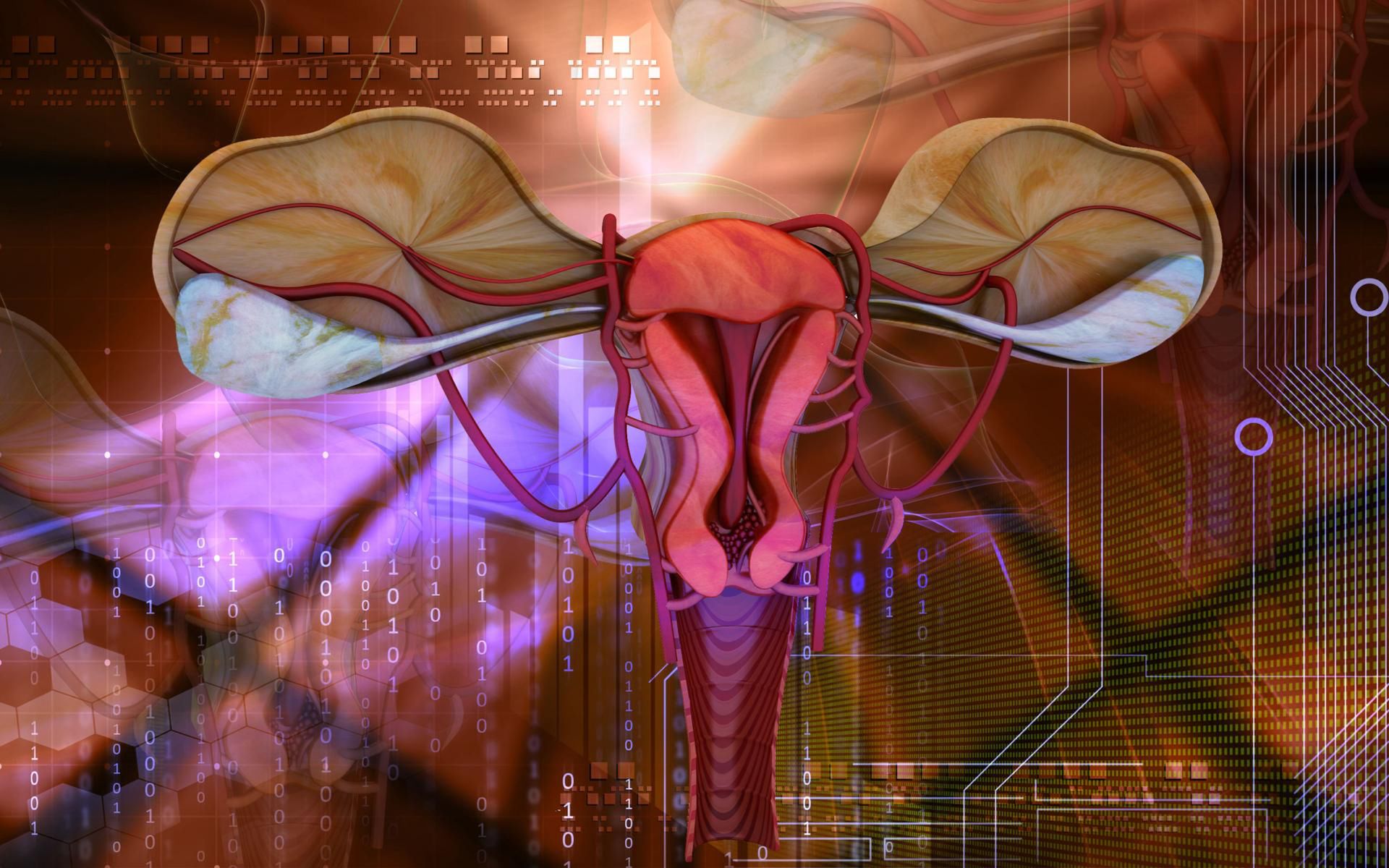 Endometrium to błona śluzowa macicy, w której mogą pojawić się polipy endometrialne